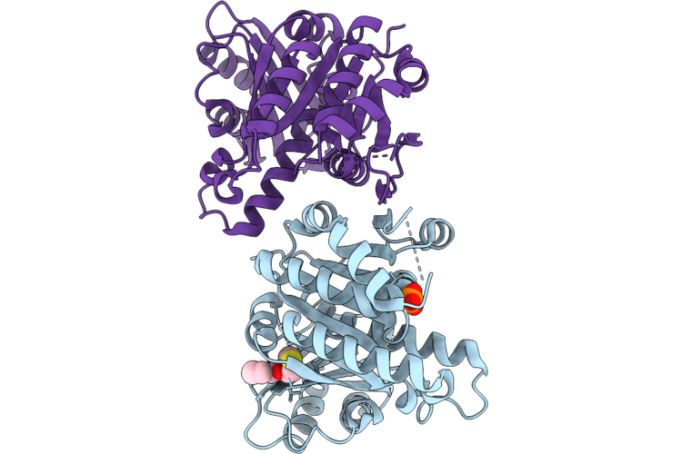 14UJ image