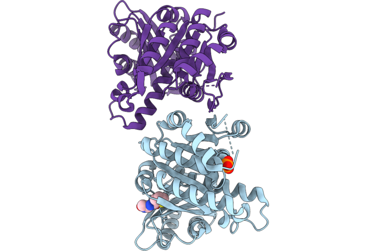 14UQ image