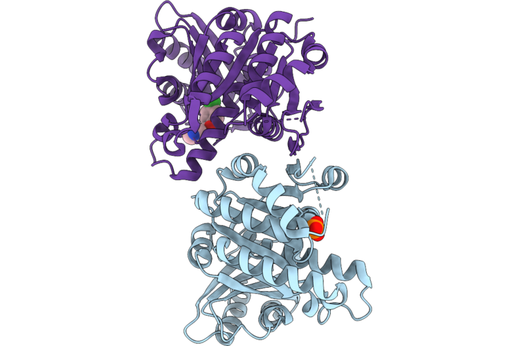 14XR image