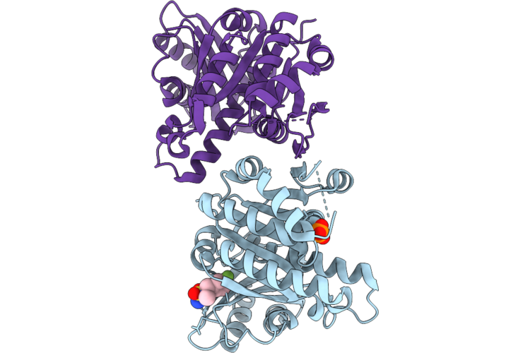 14YF image