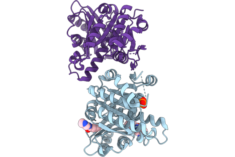14YV image