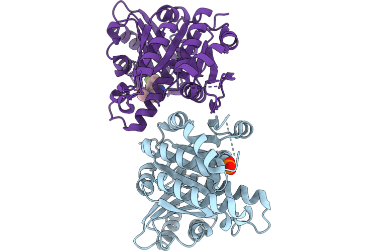 14YY image