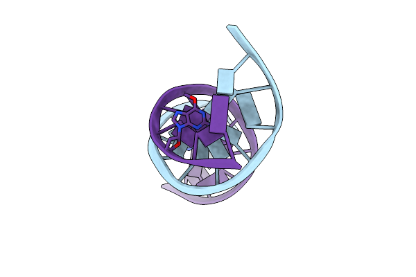 153D image