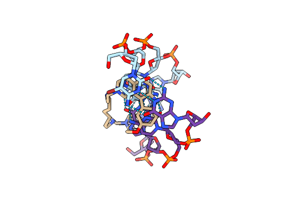 154D image