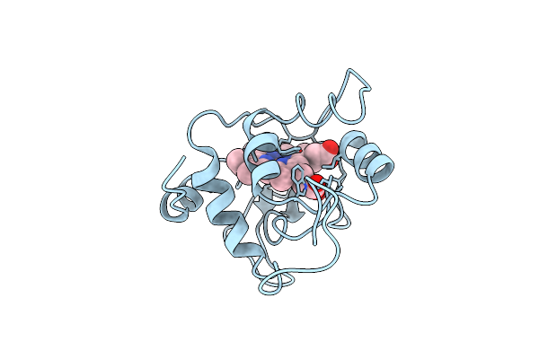 155C image