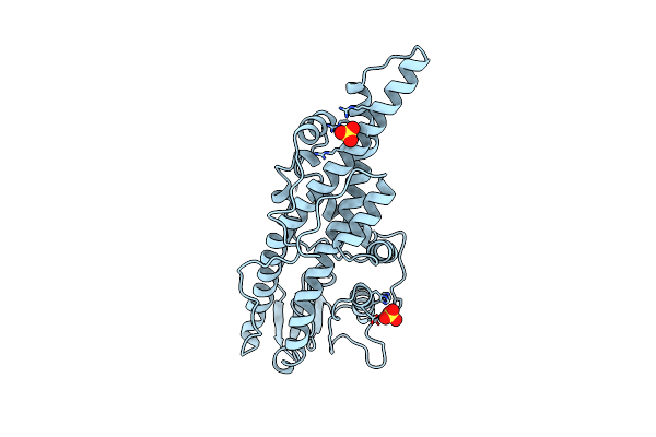 16VP image