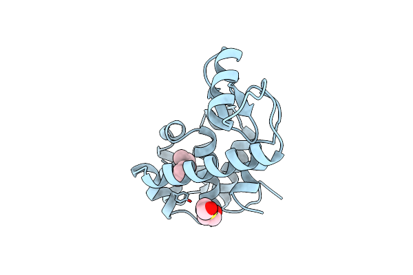 184L image