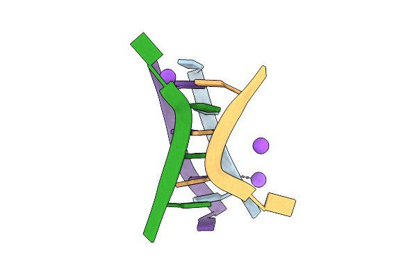 191D image