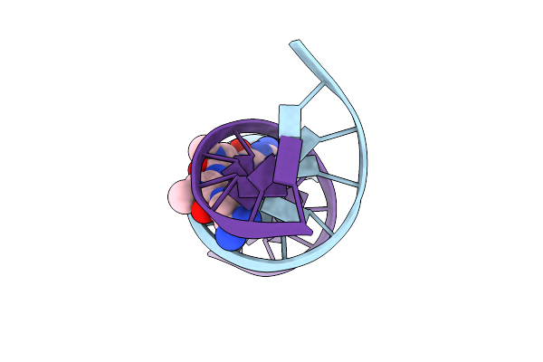 195D image