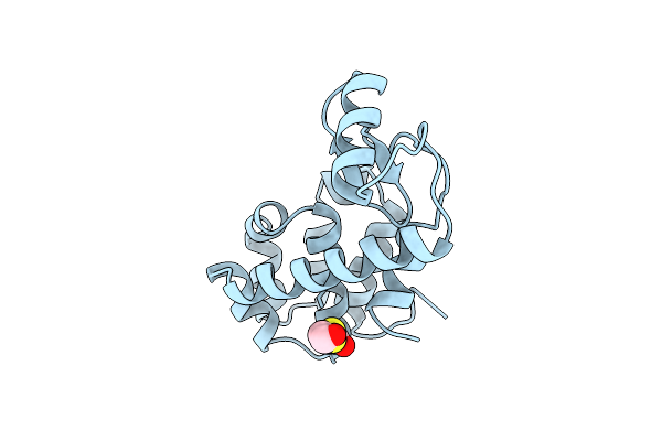 196L image