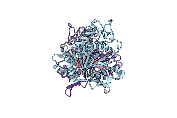 1A05 image