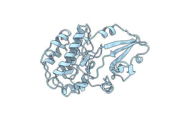 1A06 image