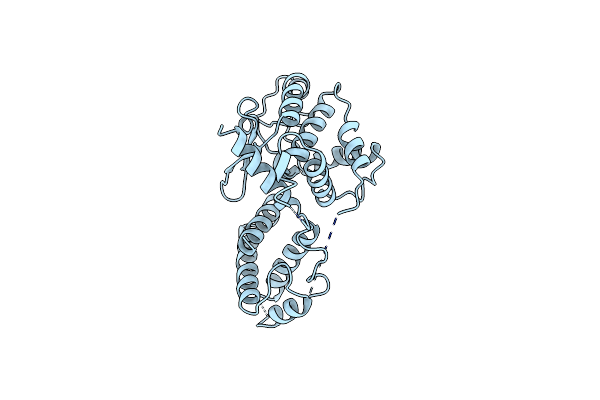 1A0P image