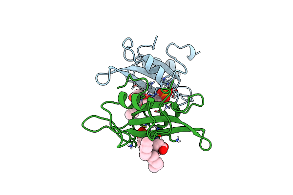 1A1B image