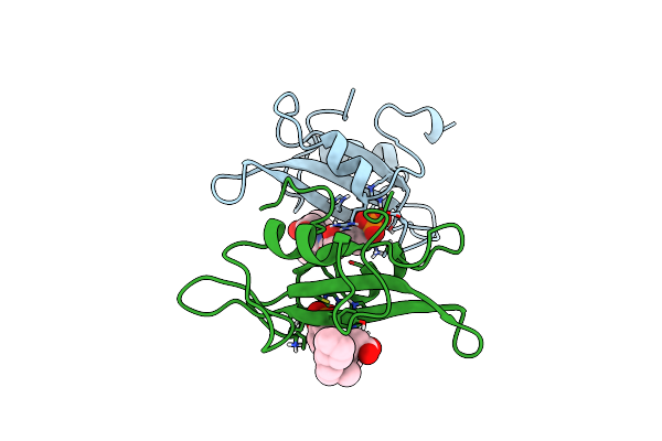 1A1C image