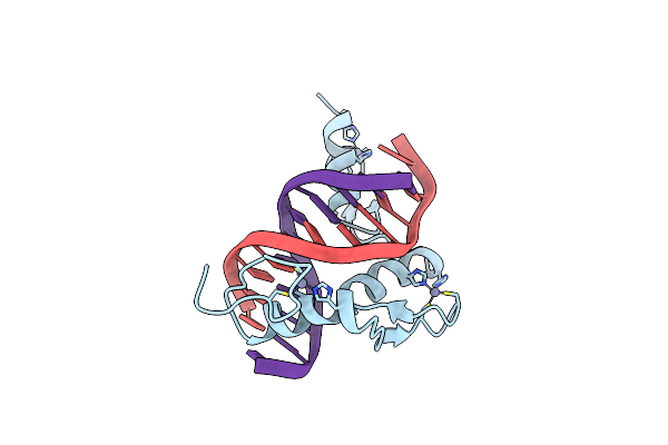 1A1G image