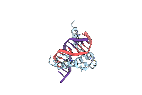 1A1H image