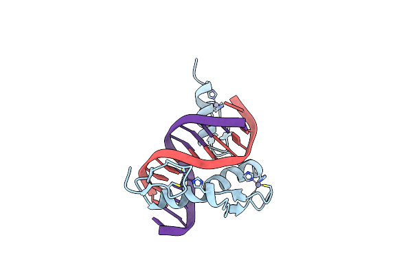 1A1I image