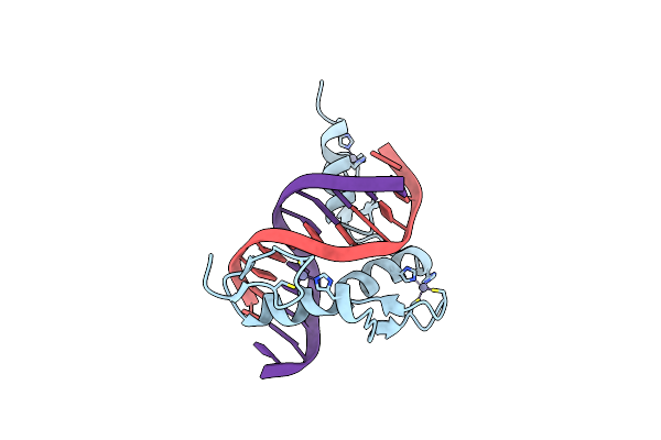 1A1L image