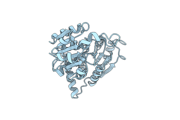 1A1S image
