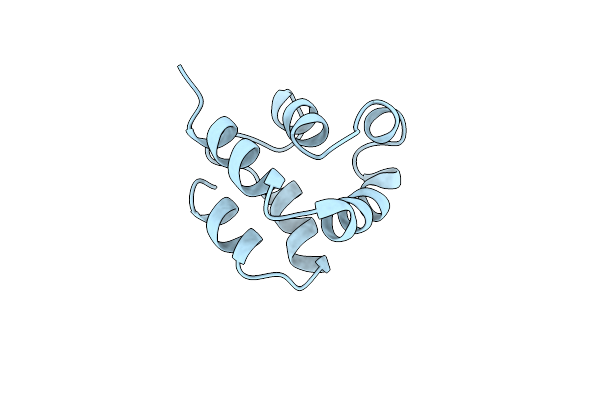 1A1W image