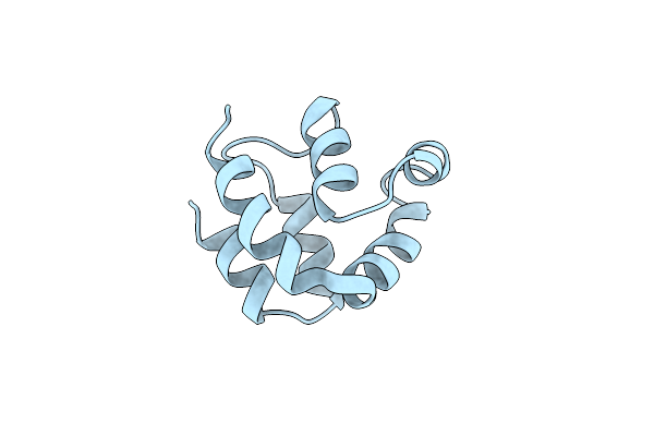 1A1Z image