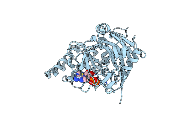 1A26 image