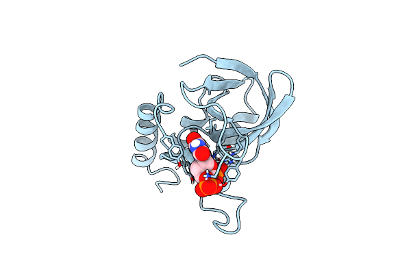 1A2T image
