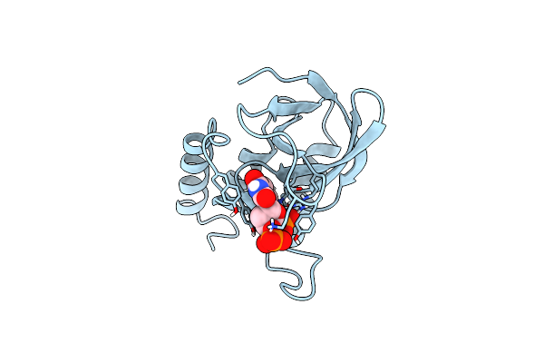 1A3T image