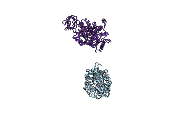 1A3X image