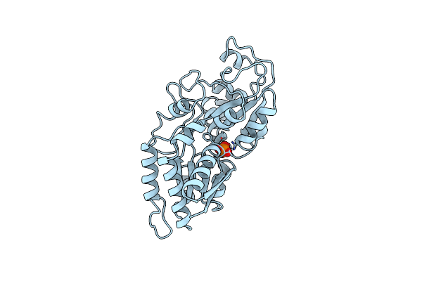 1A40 image