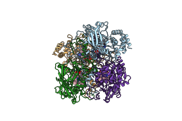 1A4E image