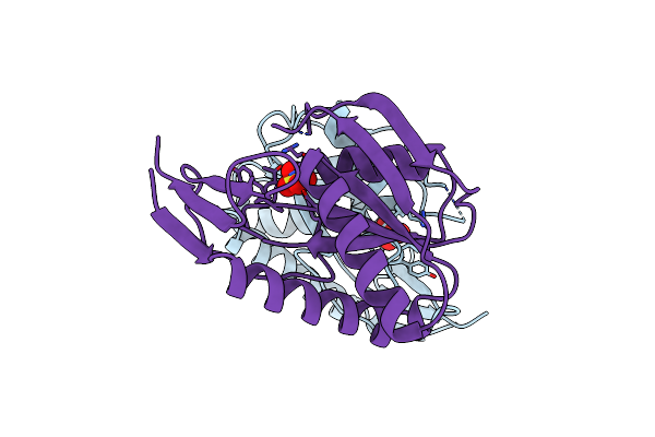 1A4X image