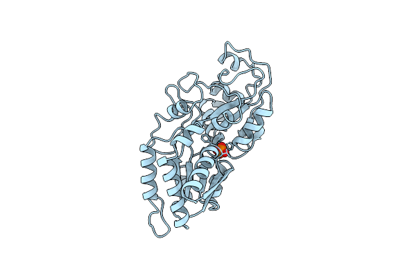 1A55 image