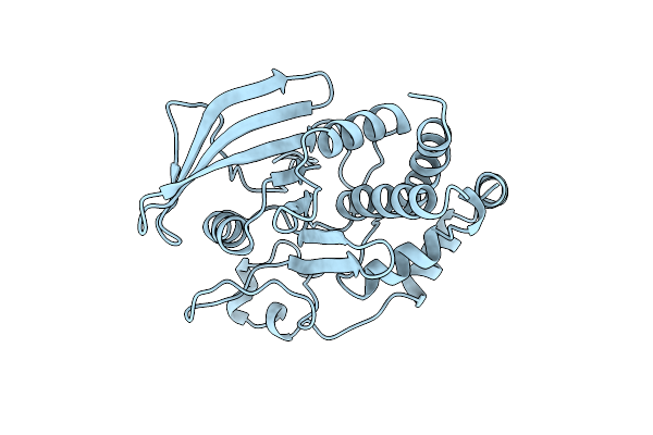 1A5Y image