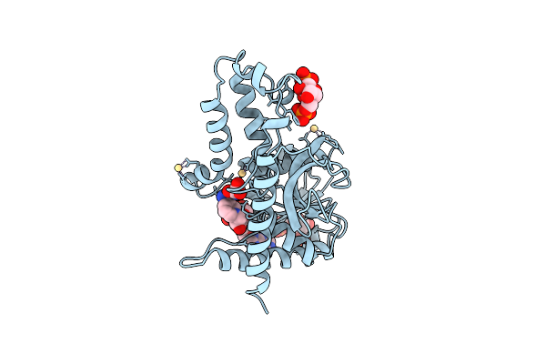 1A5Z image
