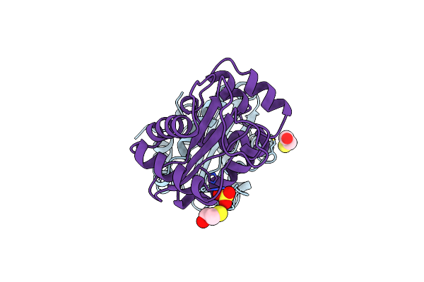 1A6J image