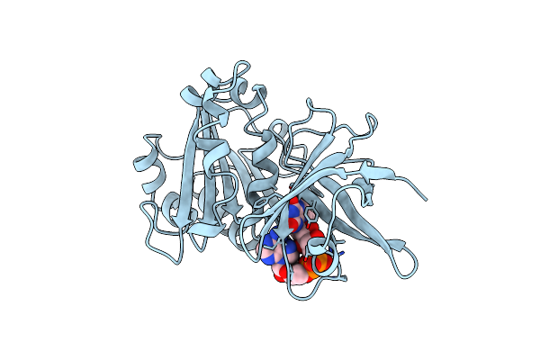 1A8P image