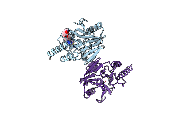 1A8T image