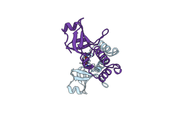 1A8V image