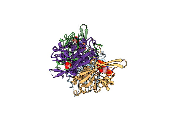 1A96 image