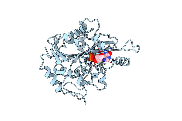 1A9P image