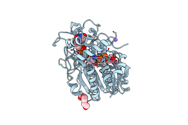 1A9Z image
