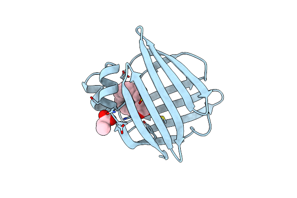 1ADL image