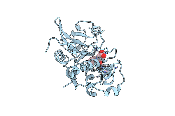 1AEC image