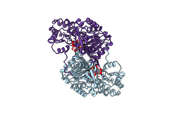 1AIB image