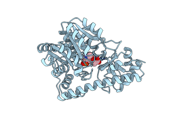 1AKC image
