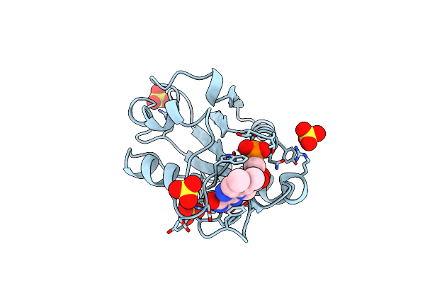1AKV image