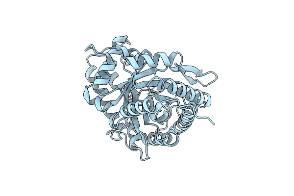 1ALD image