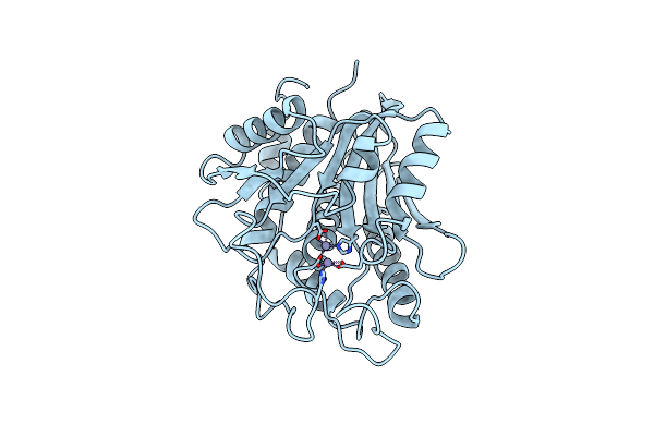 1AMP image